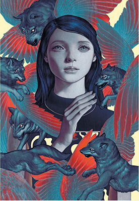 

Fables Covers The Art of James Jean New Edition