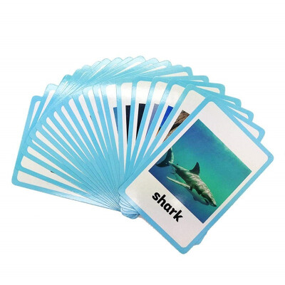 

20 pc- Sea Animals Flash Cards-English word learning card&pocket size flash card for Preschool children-English Vocabulary Cards