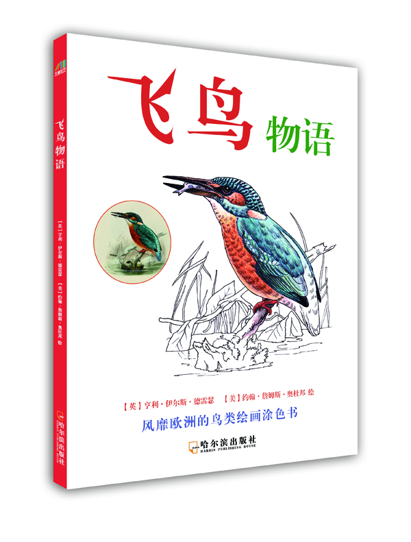

飞鸟物语