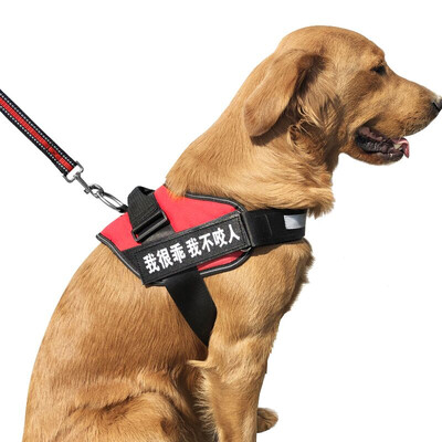 

Dipper dog chest strap dog chest strap pet leash rope dog chain large dog dog rope golden hair collar explosion-proof punch strap supplies red