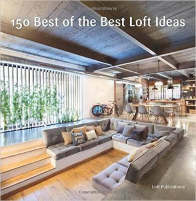 

150 Best of the Best Loft Ideas