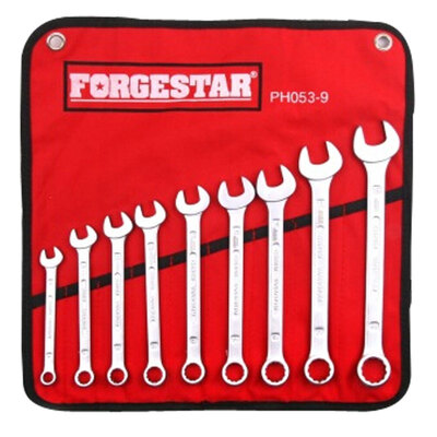

Выдумки Ланкастер (Forgestar) PH053-9 9 комплектов ключ Муи