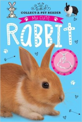 

Reader My Cute Rabbit