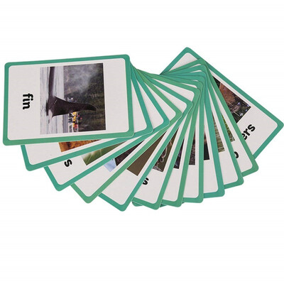 

12 pc-Sea Animals Body Parts Flash Cards-English word learning card&pocket size flash card for Preschool children