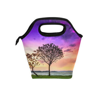 

Lunch Tote Bag Two Tree Travel Picnic Insulated Lunch Handbags Portable Zipper Lunch Bag Box