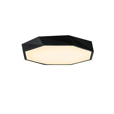 

JX283 - 24W - WW Warm White Ceiling Lamp AC 220V
