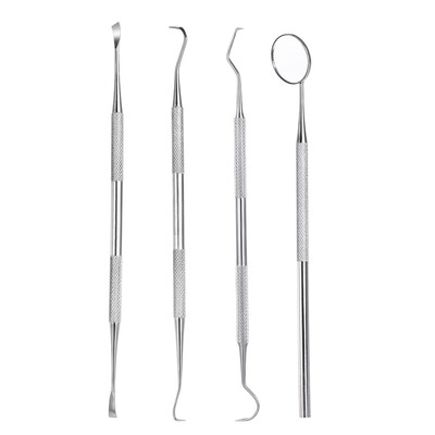 

4pcs Stainless Steel Dental Tools Kit Dentists Pick Tool Teeth Scraper Set for Personal & Professional Use