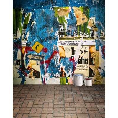 

Graffiti Wall Photo Backdrop 57FT Vinyl Fabric Cloth Digital Printing Photo Background s-2147
