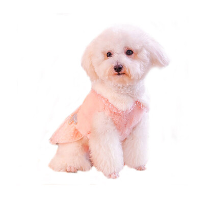 

Huayuan favors hoopet dog clothes thick warm baby doll collar princess lace skirt pet clothes