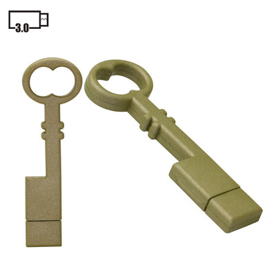 

4G 8G 16G 32G 64G 128G Key Model USB 30 Stick USB Drive U Disk 30 Flash Disk USB Disk Memory Stick USB Stick USB 30 Flash Drive