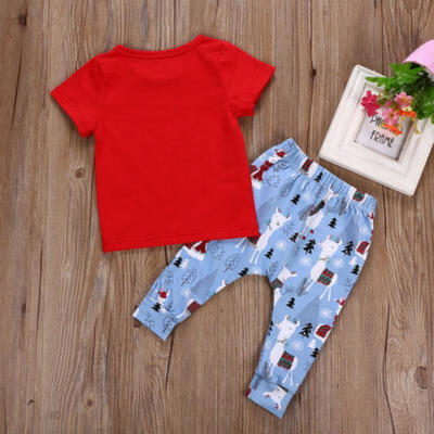 

Newborn Baby Boy Cute LLAMA Outfits 2PCS T-shirt TopsLong Pants Set Clothes