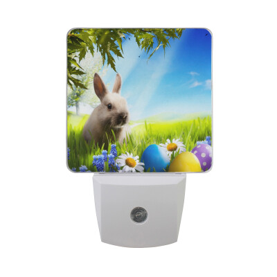 

ALAZA LED Night Light With Smart Dusk To Dawn SensorDoodle Easter Pattern With Eggs Plug In Night Light