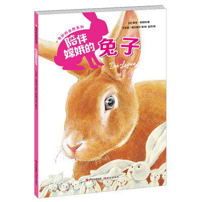 

奇妙的自然系列：陪伴嫦娥的兔子