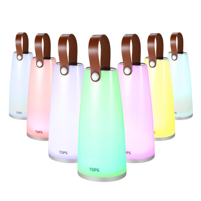 

Portable USB Rechargeable LED RGB Handheld Lantern Light Changeable Colors Cordless Outdoor Night Lamp Festival Party Decoration