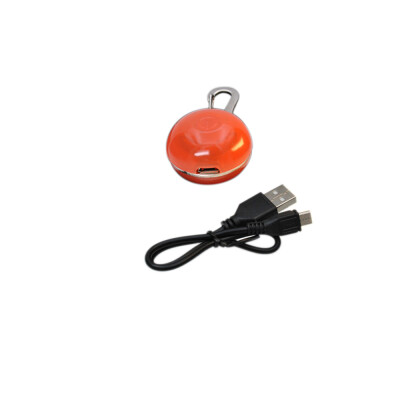 

Yeshold Decorating Pet Nightlights Warning Recharging Pendant