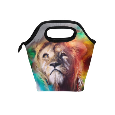 

Insulated Lunch Tote Bag Artistic Lion Travel Picnic Lunch Handbags Portable Zipper Lunch Bag Box