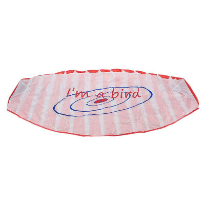 

Outdoor Sports Dual Line Stunt Parafoil Kite 14m Power Soft Kite with Handle