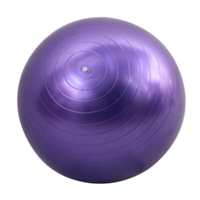 

40cm Fitness Exercise Gym Fit Yoga Core Ball Multi-use Indoor Fitness Training Yoga Ball