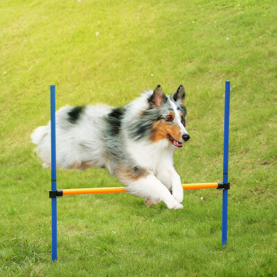 

Outdoor Pet Dog Agility Sports Games Training Equipment Dogs Jump Hurdle Bar Obedience Show Activity Agility Exercise Pole Set wit