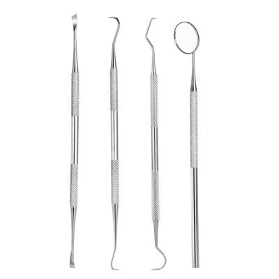 

4pcs Stainless Steel Dental Tools Kit Dentists Pick Tool Teeth Scraper Set for Personal & Professional Use