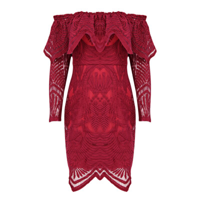 

Women Lace Sexy Off The Shoulder Ruffled Long Sleeve Dress