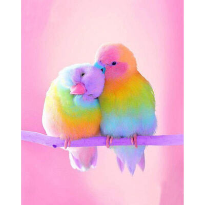 

UpperX Full 5D Diy Diamond Painting Cross Stitch "A pair of parrots" 3D Diamond Embroidery Rhinestone Mosaic Decor Paintings