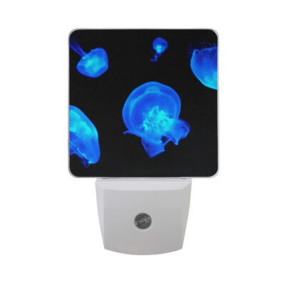 

ALAZA LED Night Light With Smart Dusk To Dawn SensorFractal Jellyfish Blue Plug In Night Light