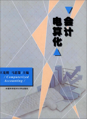 

会计电算化