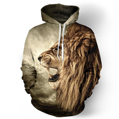 

QYDM011Mens Hoodie 3D Printed Women Pullover Sweater