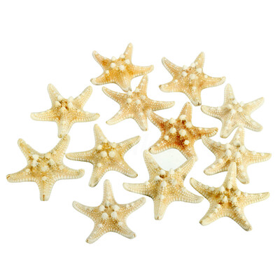 

UpperX 12X Knobby Starfish 8-11 Cm Seastar Shell Beach Wedding Display Craft Decor