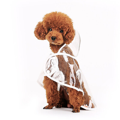 

Jingdong supermarket] Huayuan hoopet Teddy Bears puppy transparent four-legged raincoat small dog waterproof clothing dog clothes beautiful transparent waterproof raincoat -bust 41-46cm