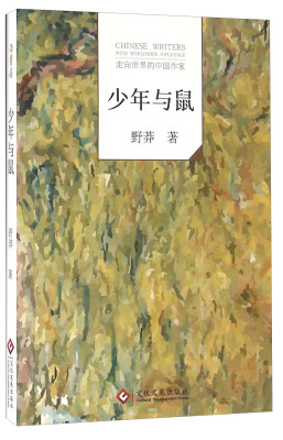 

少年与鼠