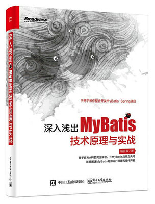 

深入浅出MyBatis技术原理与实战