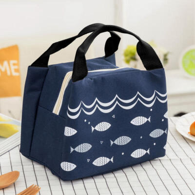 

For Women Kids Men Tote Insulated Canvas Box Bag Thermal Cooler Food Lunch Bag