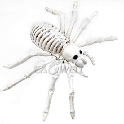 

Halloween Skeleton Cat Dog Mouse Prop Animal Bones Party Shop Decoration Horror