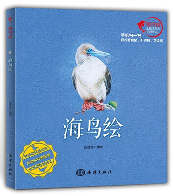 

海鸟绘