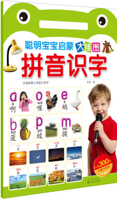 

聪明宝宝启蒙大挂图——拼音识字
