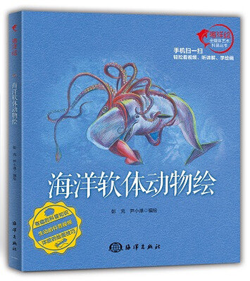 

海洋软体动物绘