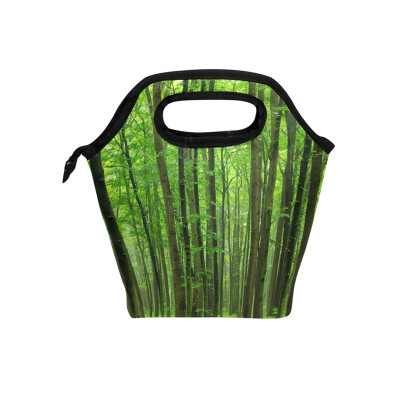 

Lunch Bag Tote Bag Bamboo Forest Travel Picnic Organizer Lunch Holder Handbags Lunch Bag Box for Office