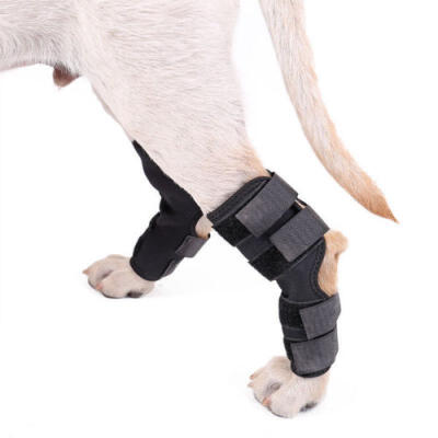 

1Pair Pet Dog Knee Pads Support Leg Safety Hock Joint Brace Wrap Protectors