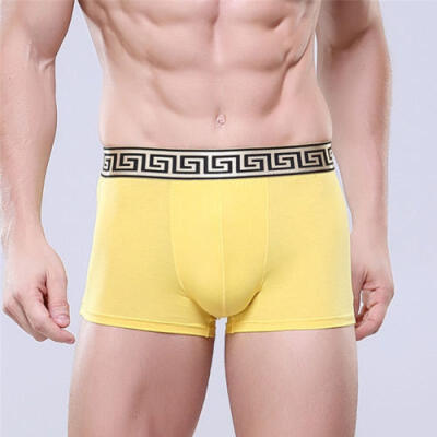 

New Mens Soft Boxer Briefs Underpants Knickers Shorts Sexy Breathable Underwear