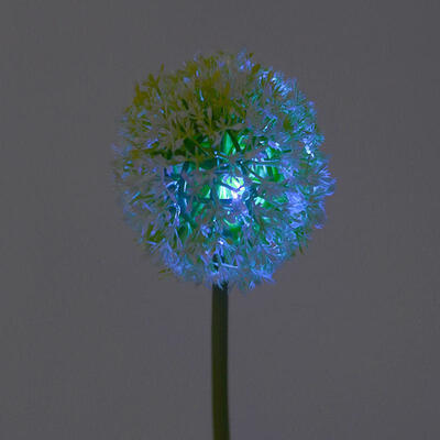 

Solar Power Flower 2 LEDs Garden Yard Stake Path Patio Landscape Lamp Light