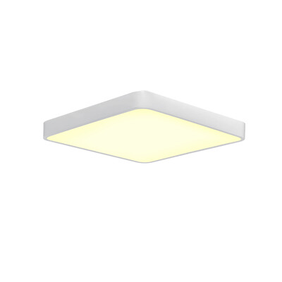 

JX231 - 48W - WJ Promise Dimming Ceiling Lamp AC 220V