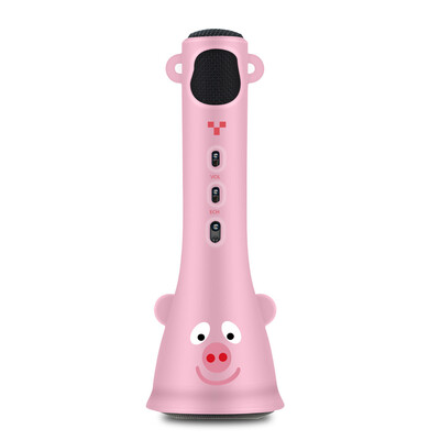 

TOSING Kids Wireless Karaoke Microphone Bluetooth Speaker 2 in 1 for Children Girls Toddlers Best Top Toys