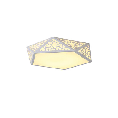 

JX208 - 24W - WW Warm White Ceiling Lamp AC 220V