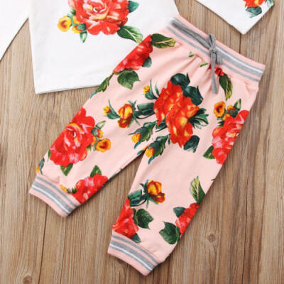 

Floral Baby Girls Outfits Long Sleeve Tops Pants Harem Outfits Set Newborn Kids