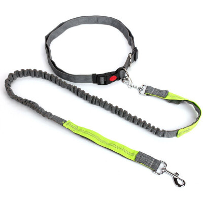 

Hands Free Dog Leash for Running Walking Hiking