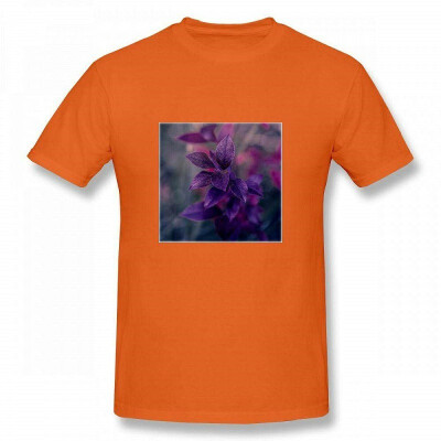 

Andrea Haase Nature Photography Purple Autumn Leafs in Monochrome Light Men T-Shirt