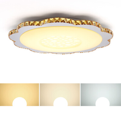 

JX826 - 80W - WJ Promise Dimming Ceiling Lamp AC 220V
