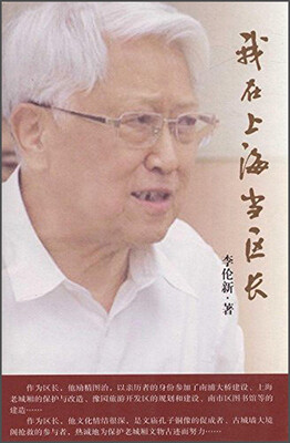 

我在上海当区长